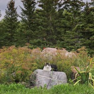 Meet your Posher, Asia